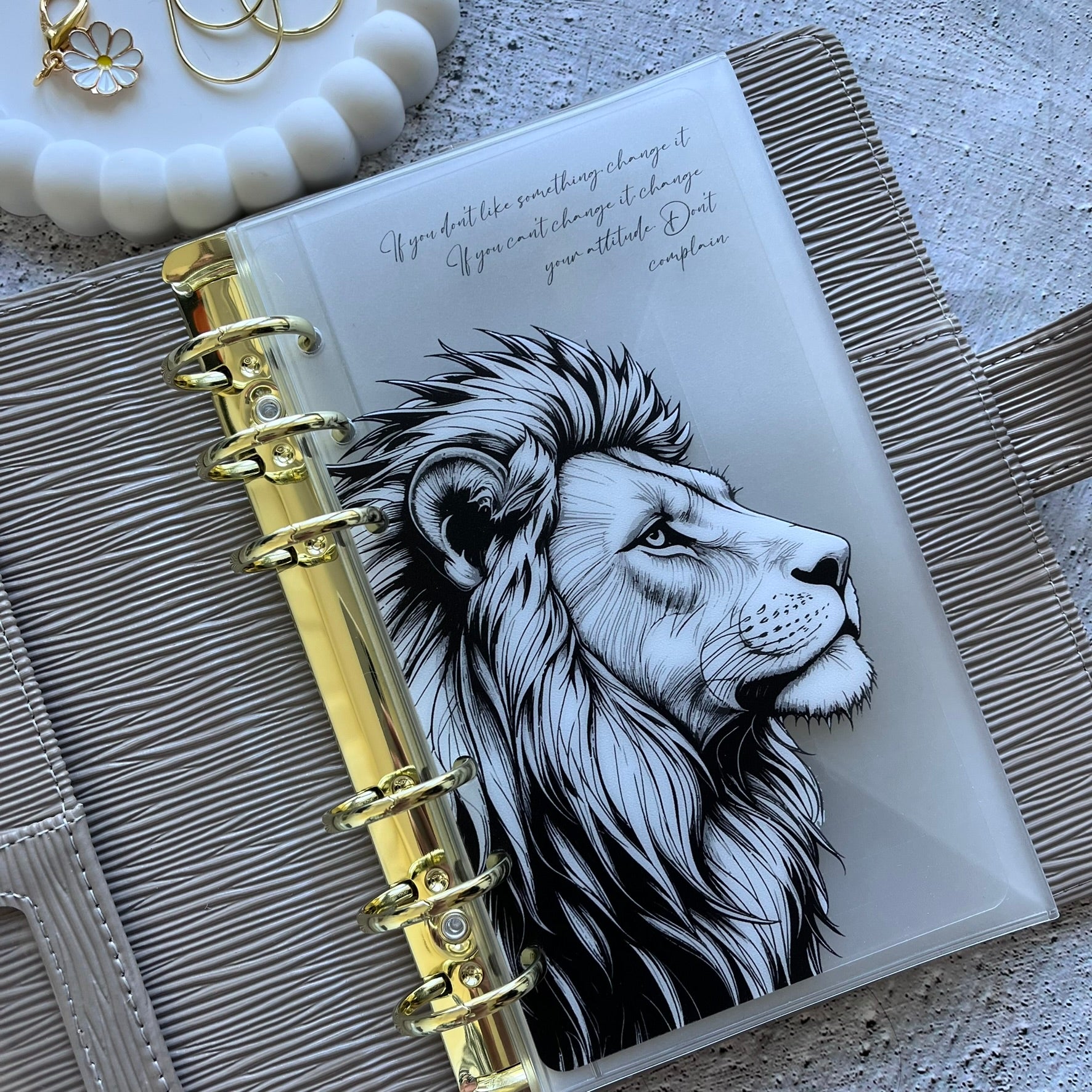 A6 Lion Dashboard